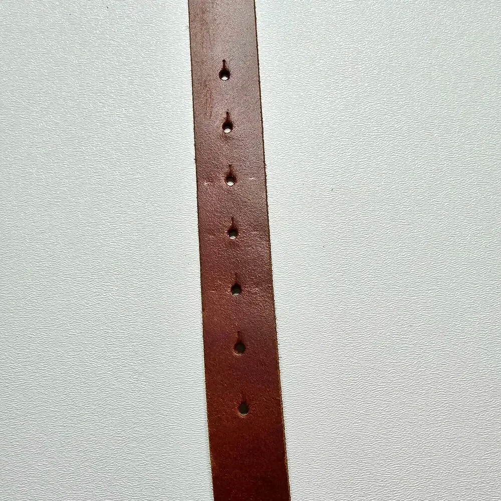 Genuine Leather Brown Belt Brass Cicada Bee Bug Buckle Womens Size M